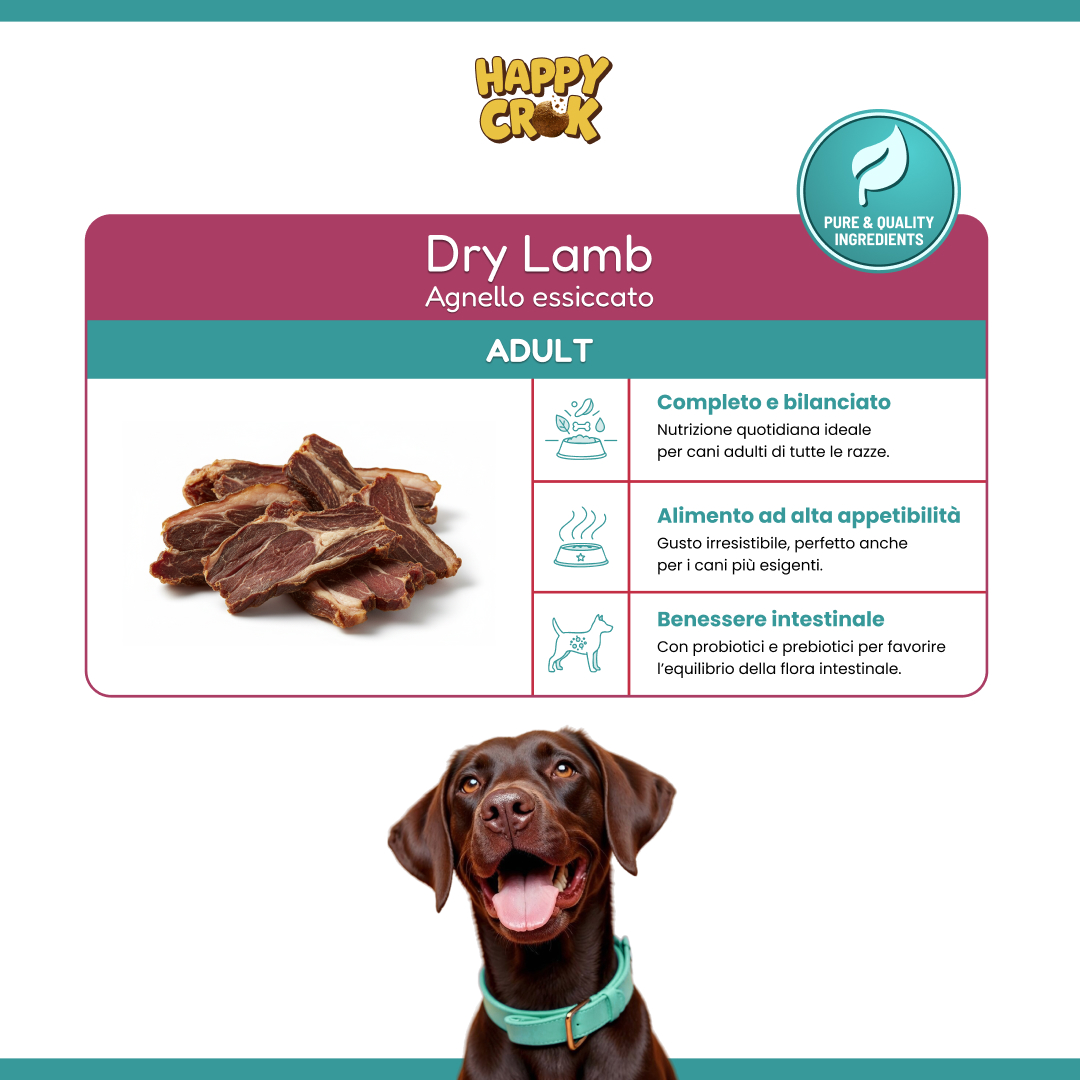 Dry Lamb - immagine 5
